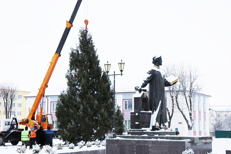 На площади Петра Мстиславца установили городскую ёлку