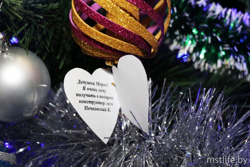 В Мстиславском районе в очередной раз стартовала благотворительная акция «Наши дети». Старт новогодней акции дали активисты РООО БРСМ.