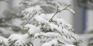 Мокрый снег с дождем и порывистый ветер ожидаются в Беларуси 13 февраля
