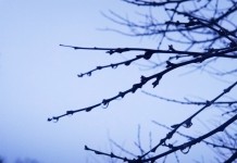 Погода в Беларуси на 10 марта