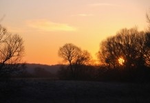 В Беларуси потеплеет во второй половине недели