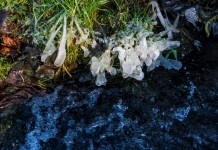 Без осадков и до -9°С ночью ожидается в первой половине следующей недели в Могилёвской области