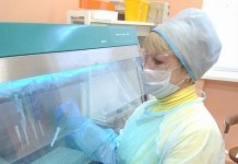 Анализ на COVID-19 делается только по показанию врача – санслужба Могилёвской области