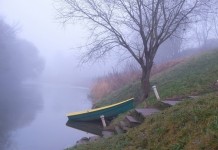Какой будет погода в первую неделю зимы