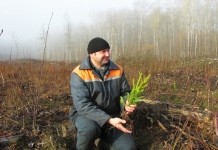 Неделя леса. Акция