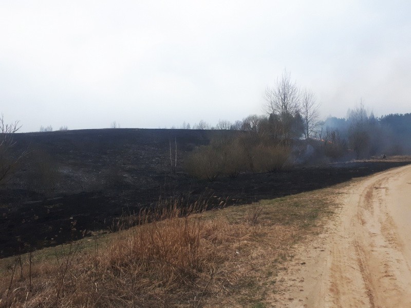 Гектар сухой травы выгорел на землях ОАО «Мазоловское»