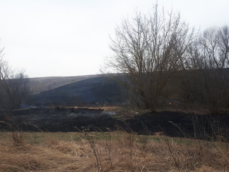 Гектар сухой травы выгорел на землях ОАО «Мазоловское»