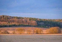 До +13°С градусов тепла ожидается в Беларуси 18 апреля
