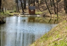 До +25°С и кратковременные дожди ожидаются в Беларуси 29 апреля