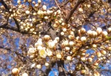 Погода в Мстиславле