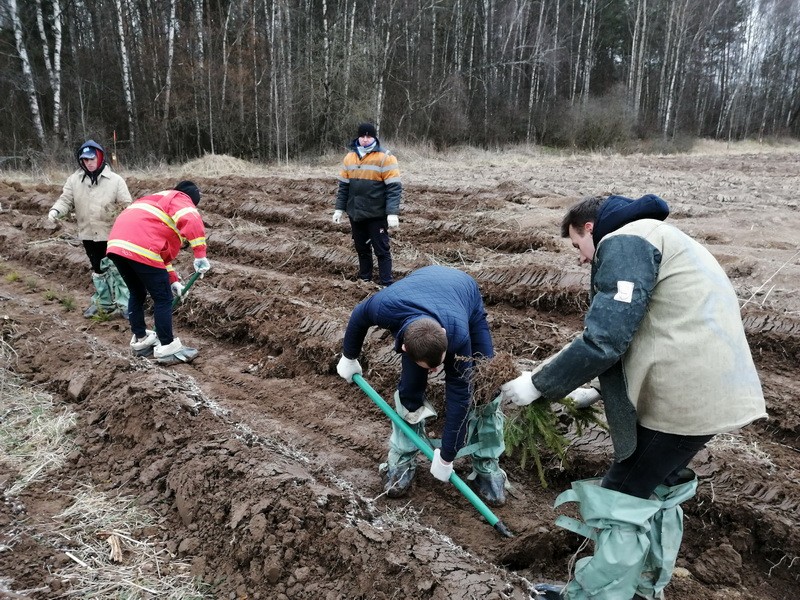 Учащиеся Мстиславского строительного колледжа приняли участие в республиканской акции «Неделя леса»
