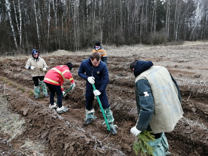 Учащиеся Мстиславского строительного колледжа приняли участие в республиканской акции «Неделя леса»