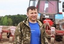 Последние кукурузные гектары мстиславских аграриев