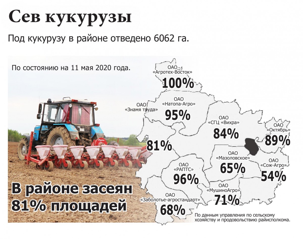 Последние кукурузные гектары мстиславских аграриев