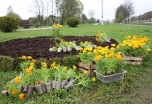 Весну никто не отменял. В Мстиславле благоустраивают улицы к 9 Мая
