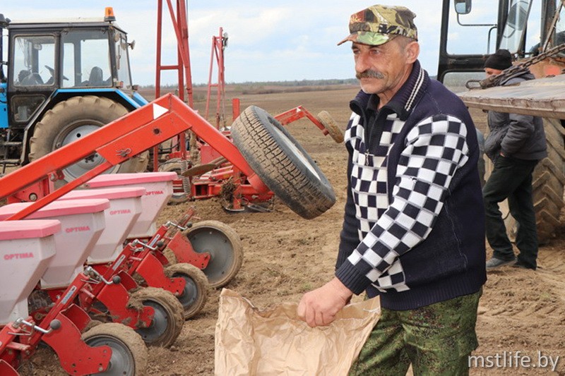 Аграрии Мстиславского района посеяли больше половины запланированных площадей кукурузы