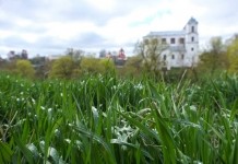 Грозы и до +21°С ожидается в Беларуси 4 мая Какой будет погода в последнюю неделю лета