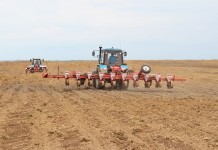 Аграрии Мстиславского района посеяли больше половины запланированных площадей кукурузы