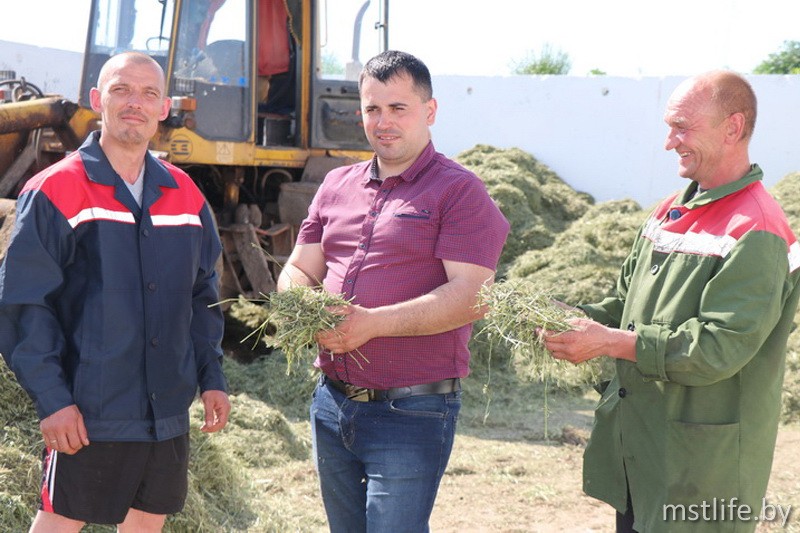 Труженики Мстиславского района начали массовую заготовку кормов