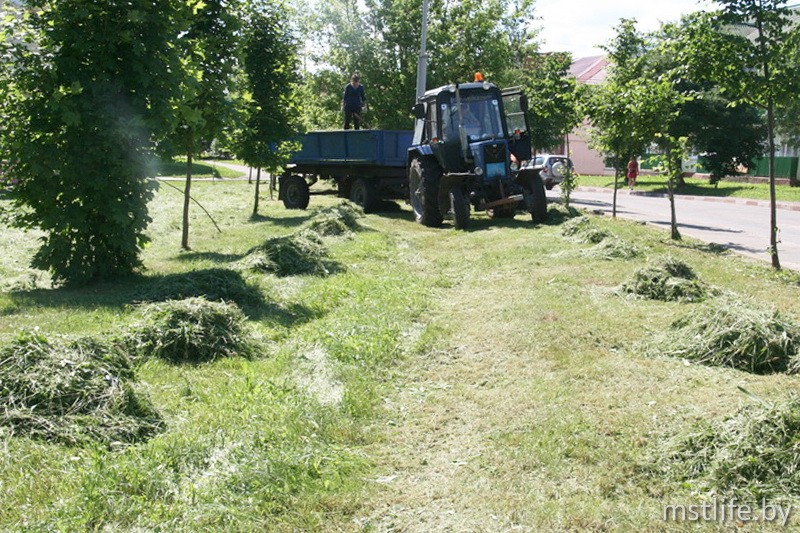 На улицах Мстиславля трудовые коллективы начали работу по скашиванию сорной растительности