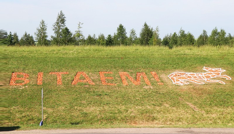На въезде в Мстиславль появилась приветственная надпись с символом города