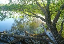 Жара до +34°С ожидается в Беларуси 11 июня