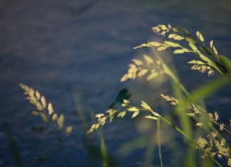 В Беларуси объявлено штормовое предупреждение