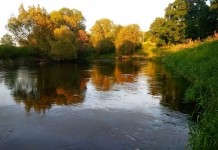 Какой будет погода в начале октября