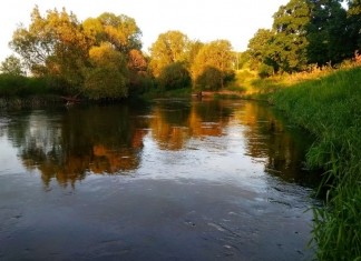 Какой будет погода в начале октября