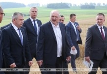 Лукашенко о видах на урожай: 9,5 млн т зерна — минимум, который должны взять в этом году