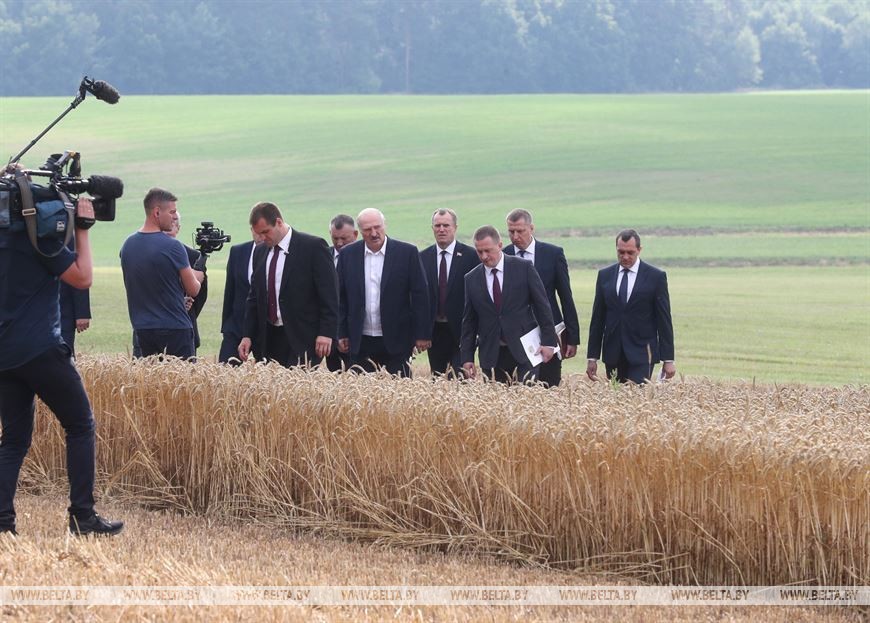 Лукашенко о видах на урожай: 9,5 млн т зерна — минимум, который должны взять в этом году