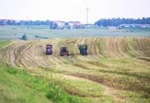 Аграрии Мстиславского района приступили к уборке озимой сурепицы