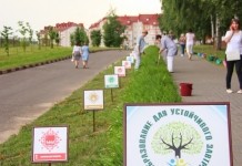 В Мстиславле появилась аллея устойчивого развития
