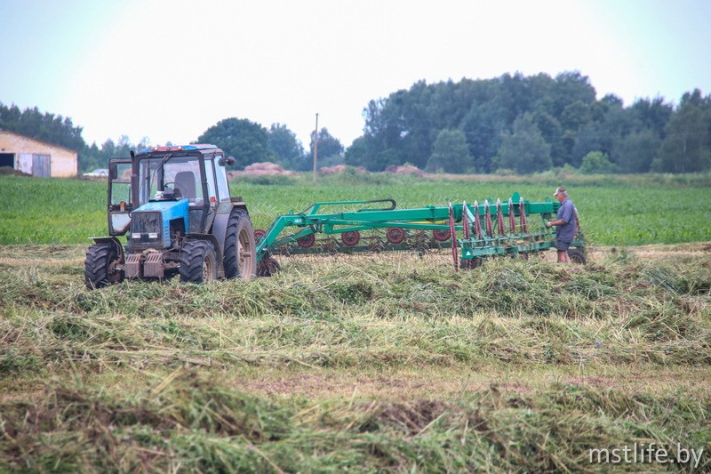 Аграрии Мстиславского района приступили к уборке озимой сурепицы