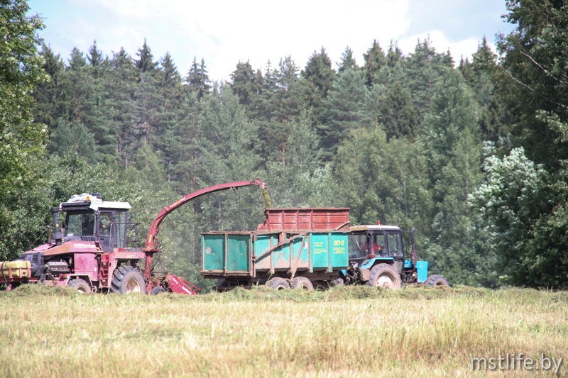 Аграрии Мстиславского района приступили к заготовке кормов из трав второго укоса