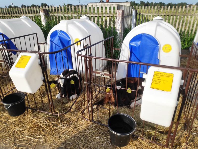 Безопасность на объектах животноводства. Инспекторы РОЧС проверили молочно-товарные фермы