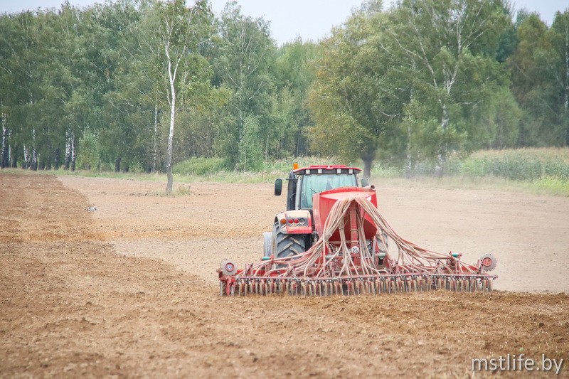 Аграрии Мстиславского района продолжают осенние работы