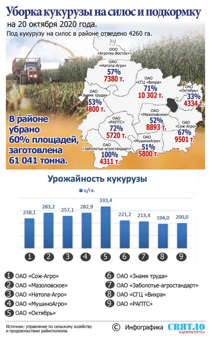 Аграрии Мстиславского района убрали кукурузу на 60% от запланированной площади