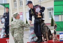 Новые победы мстиславского кинолога