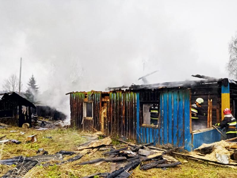 В деревне Красное во время пожара погибла женщина