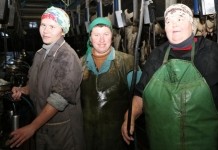 Животноводы района делятся секретом получения надоев и хороших привесов