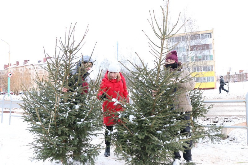 Спортивные забавы, концерт и спрос на ёлки. Чем ещё порадовала рождественская ярмарка в Мстиславле
