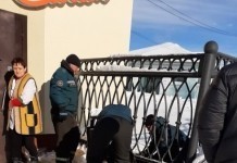 Пожарные спасли собаку, застрявшую в заборе
