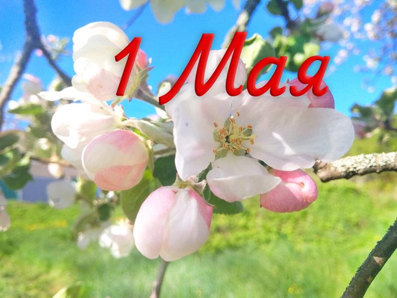 С Праздником труда! Поздравление руководства района