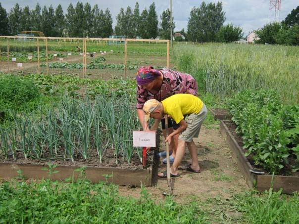 Рязанцевская школа стала экспериментальной площадкой Белорусского зелёного креста