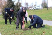 Стало известно, когда в Мстиславском районе пройдёт субботник.