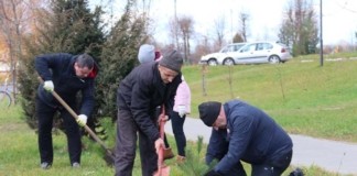 Стало известно, когда в Мстиславском районе пройдёт субботник.