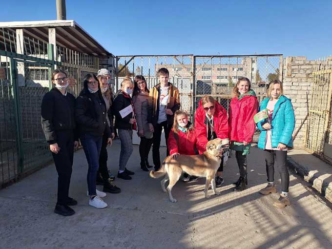 Волонтёры из Мстиславля посетили приют для бездомных животных