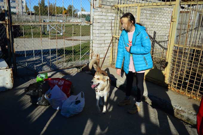 Приют владикавказ