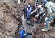 Поисковики из Брянска установили место гибели мстиславского лётчика